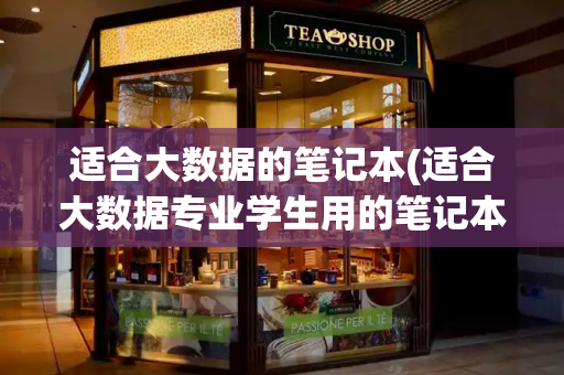 适合大数据的笔记本(适合大数据专业学生用的笔记本电脑)