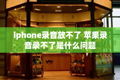 iphone录音放不了 苹果录音录不了是什么问题-第1张图片-星选测评