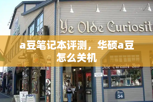 a豆笔记本评测，华硕a豆怎么关机-第1张图片-星选测评