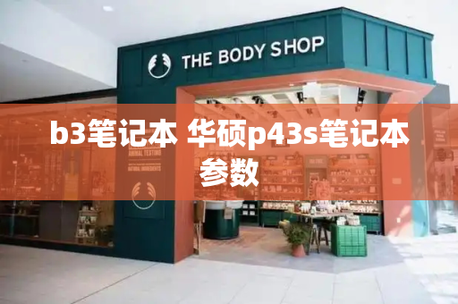 b3笔记本 华硕p43s笔记本参数-第1张图片-星选测评