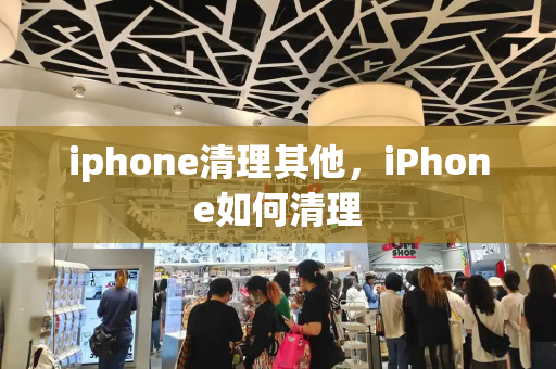 iphone清理其他，iPhone如何清理