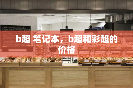 b超 笔记本，b超和彩超的价格-第1张图片-星选测评