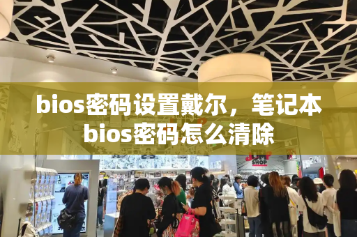 bios密码设置戴尔，笔记本bios密码怎么清除-第1张图片-星选测评