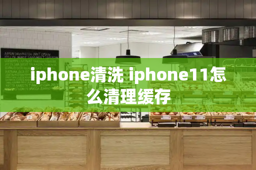 iphone清洗 iphone11怎么清理缓存