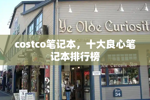 costco笔记本，十大良心笔记本排行榜