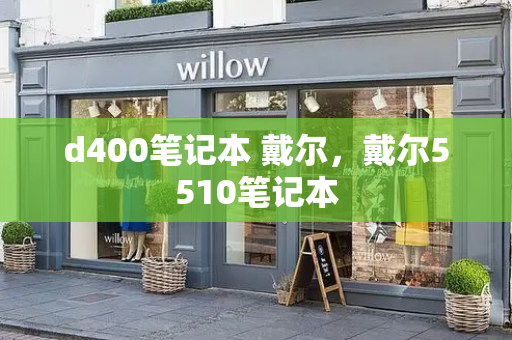 d400笔记本 戴尔，戴尔5510笔记本-第1张图片-星选测评