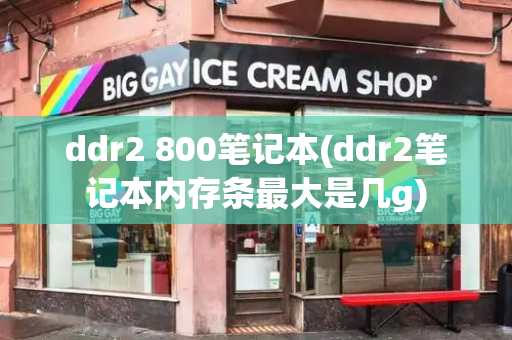 ddr2 800笔记本(ddr2笔记本内存条最大是几g)-第1张图片-星选测评
