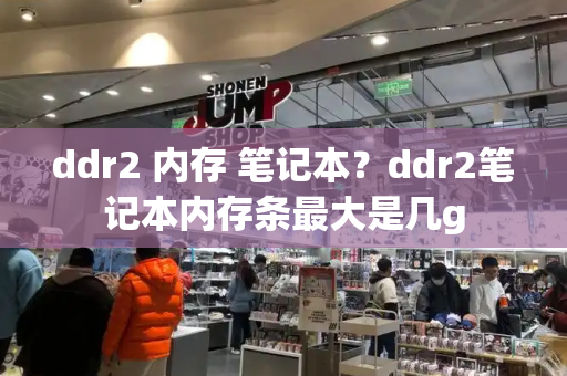 ddr2 内存 笔记本？ddr2笔记本内存条最大是几g-第1张图片-星选测评