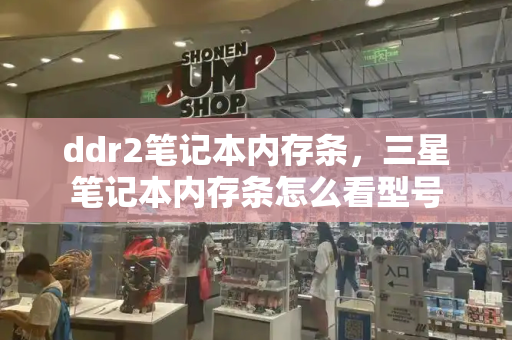 ddr2笔记本内存条，三星笔记本内存条怎么看型号-第1张图片-星选测评