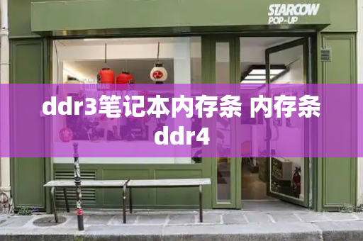 ddr3笔记本内存条 内存条ddr4