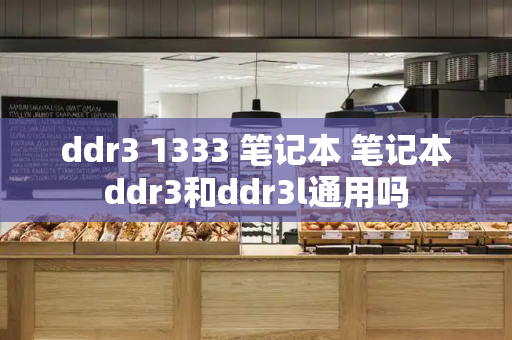 ddr3 1333 笔记本 笔记本ddr3和ddr3l通用吗