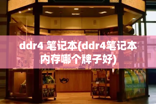 ddr4 笔记本(ddr4笔记本内存哪个牌子好)