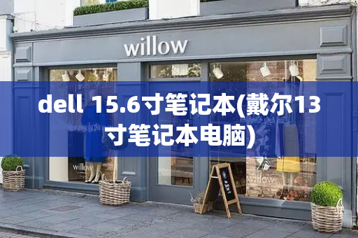 dell 15.6寸笔记本(戴尔13寸笔记本电脑)-第1张图片-星选测评