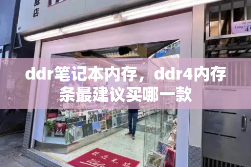 ddr笔记本内存，ddr4内存条最建议买哪一款