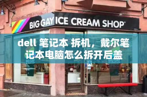 dell 笔记本 拆机，戴尔笔记本电脑怎么拆开后盖-第1张图片-星选测评