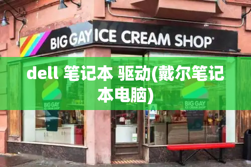 dell 笔记本 驱动(戴尔笔记本电脑)