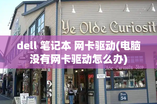 dell 笔记本 网卡驱动(电脑没有网卡驱动怎么办)