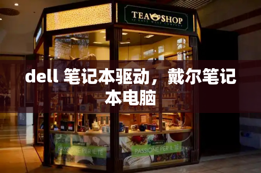 dell 笔记本驱动，戴尔笔记本电脑-第1张图片-星选测评