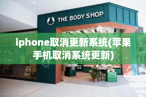 iphone取消更新系统(苹果手机取消系统更新)
