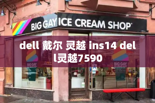 dell 戴尔 灵越 ins14 dell灵越7590-第1张图片-星选测评