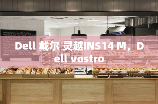 Dell 戴尔 灵越INS14 M，Dell vostro-第1张图片-星选测评