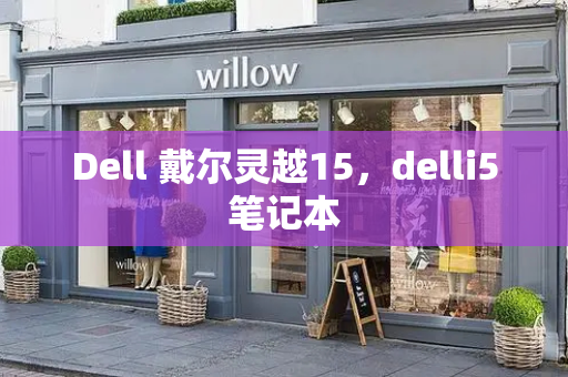 Dell 戴尔灵越15，delli5笔记本-第1张图片-星选测评