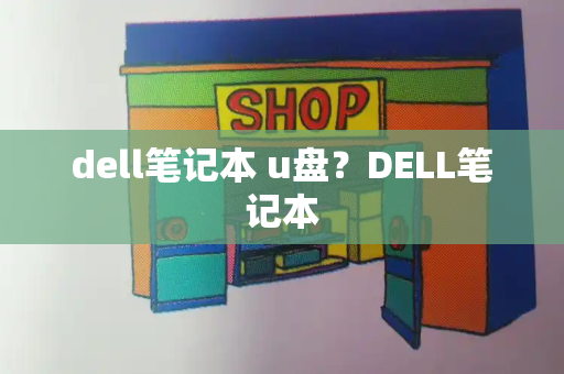 dell笔记本 u盘？DELL笔记本