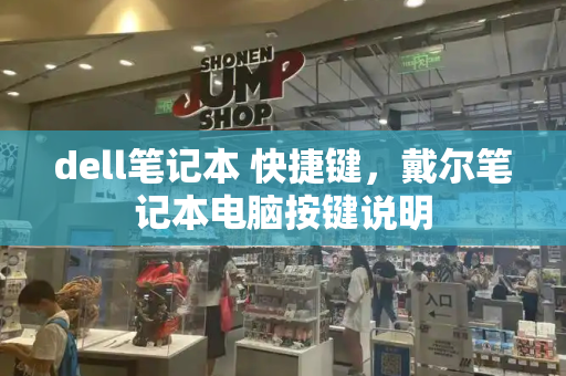 dell笔记本 快捷键，戴尔笔记本电脑按键说明-第1张图片-星选测评