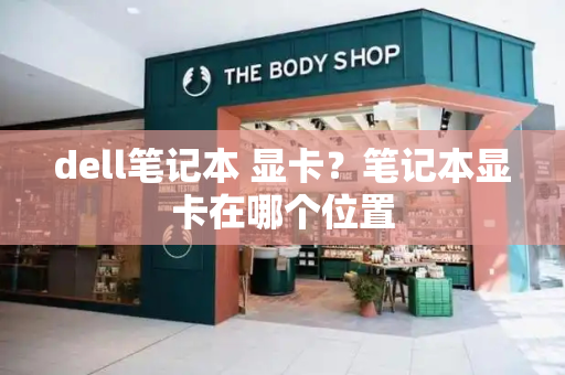 dell笔记本 显卡？笔记本显卡在哪个位置-第1张图片-星选测评