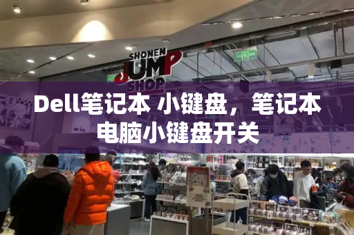 Dell笔记本 小键盘，笔记本电脑小键盘开关