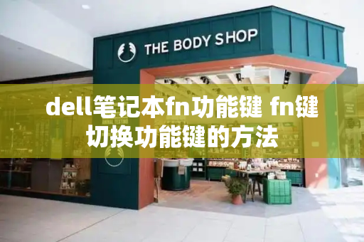 dell笔记本fn功能键 fn键切换功能键的方法