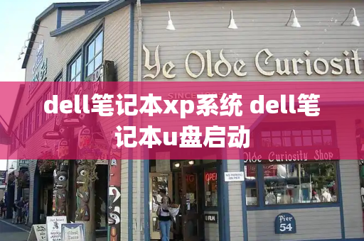 dell笔记本xp系统 dell笔记本u盘启动-第1张图片-星选测评