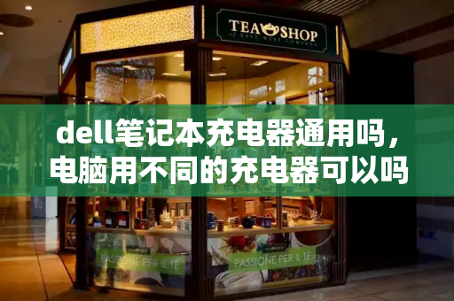 dell笔记本充电器通用吗，电脑用不同的充电器可以吗