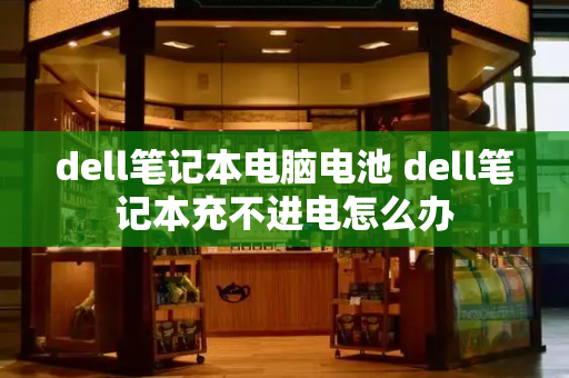 dell笔记本电脑电池 dell笔记本充不进电怎么办