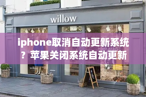 iphone取消自动更新系统？苹果关闭系统自动更新