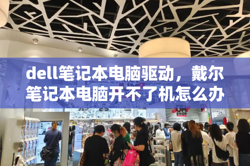 dell笔记本电脑驱动，戴尔笔记本电脑开不了机怎么办-第1张图片-星选测评