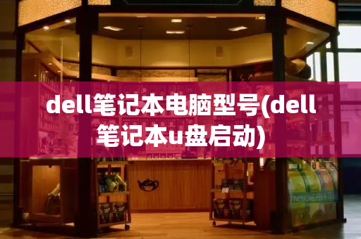 dell笔记本电脑型号(dell笔记本u盘启动)