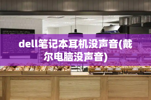 dell笔记本耳机没声音(戴尔电脑没声音)-第1张图片-星选测评