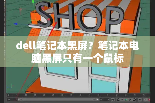 dell笔记本黑屏？笔记本电脑黑屏只有一个鼠标-第1张图片-星选测评
