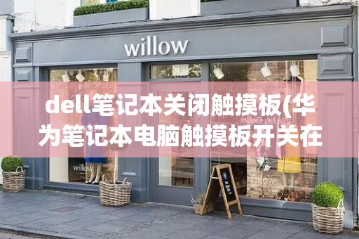 dell笔记本关闭触摸板(华为笔记本电脑触摸板开关在哪)-第1张图片-星选测评