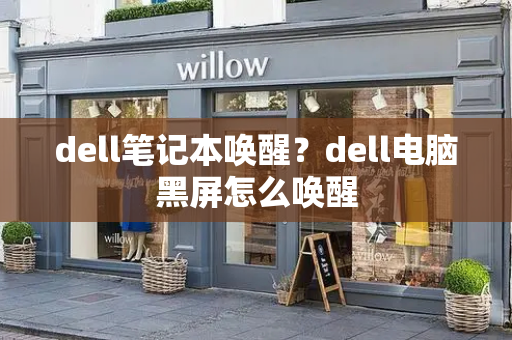 dell笔记本唤醒？dell电脑黑屏怎么唤醒