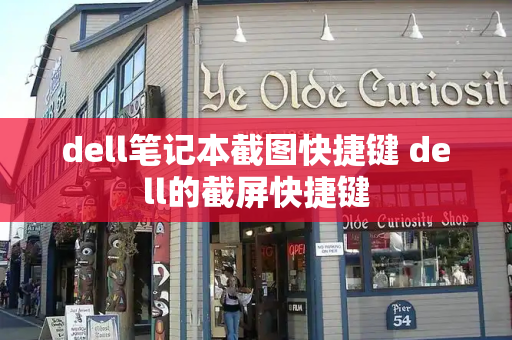 dell笔记本截图快捷键 dell的截屏快捷键