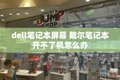 dell笔记本屏幕 戴尔笔记本开不了机怎么办-第1张图片-星选测评