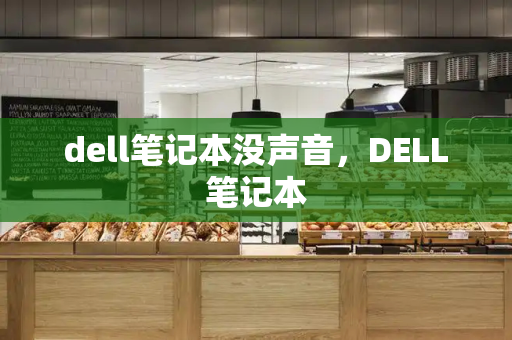 dell笔记本没声音，DELL笔记本