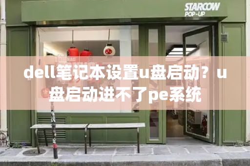 dell笔记本设置u盘启动？u盘启动进不了pe系统-第1张图片-星选测评
