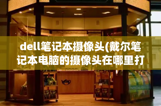 dell笔记本摄像头(戴尔笔记本电脑的摄像头在哪里打开)-第1张图片-星选测评