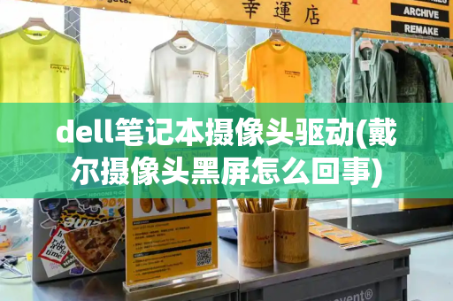 dell笔记本摄像头驱动(戴尔摄像头黑屏怎么回事)-第1张图片-星选测评