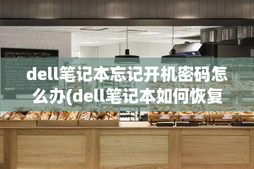 dell笔记本忘记开机密码怎么办(dell笔记本如何恢复出厂设置)