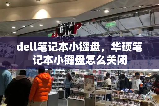 dell笔记本小键盘，华硕笔记本小键盘怎么关闭-第1张图片-星选测评