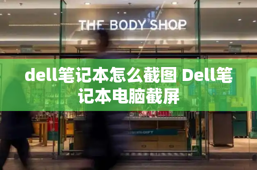 dell笔记本怎么截图 Dell笔记本电脑截屏-第1张图片-星选测评